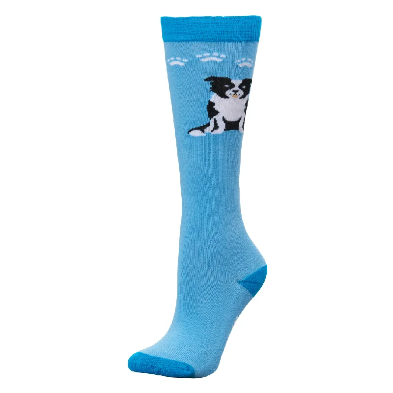 Blue Boarder Collie