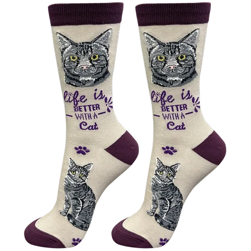 Socks  Silver Tabby     841-8