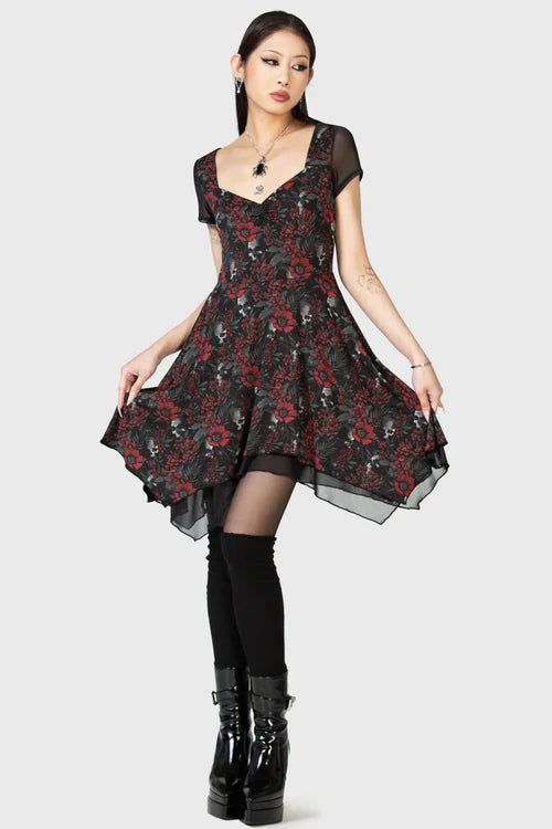 Great Deal Zoey Long Socks [B]